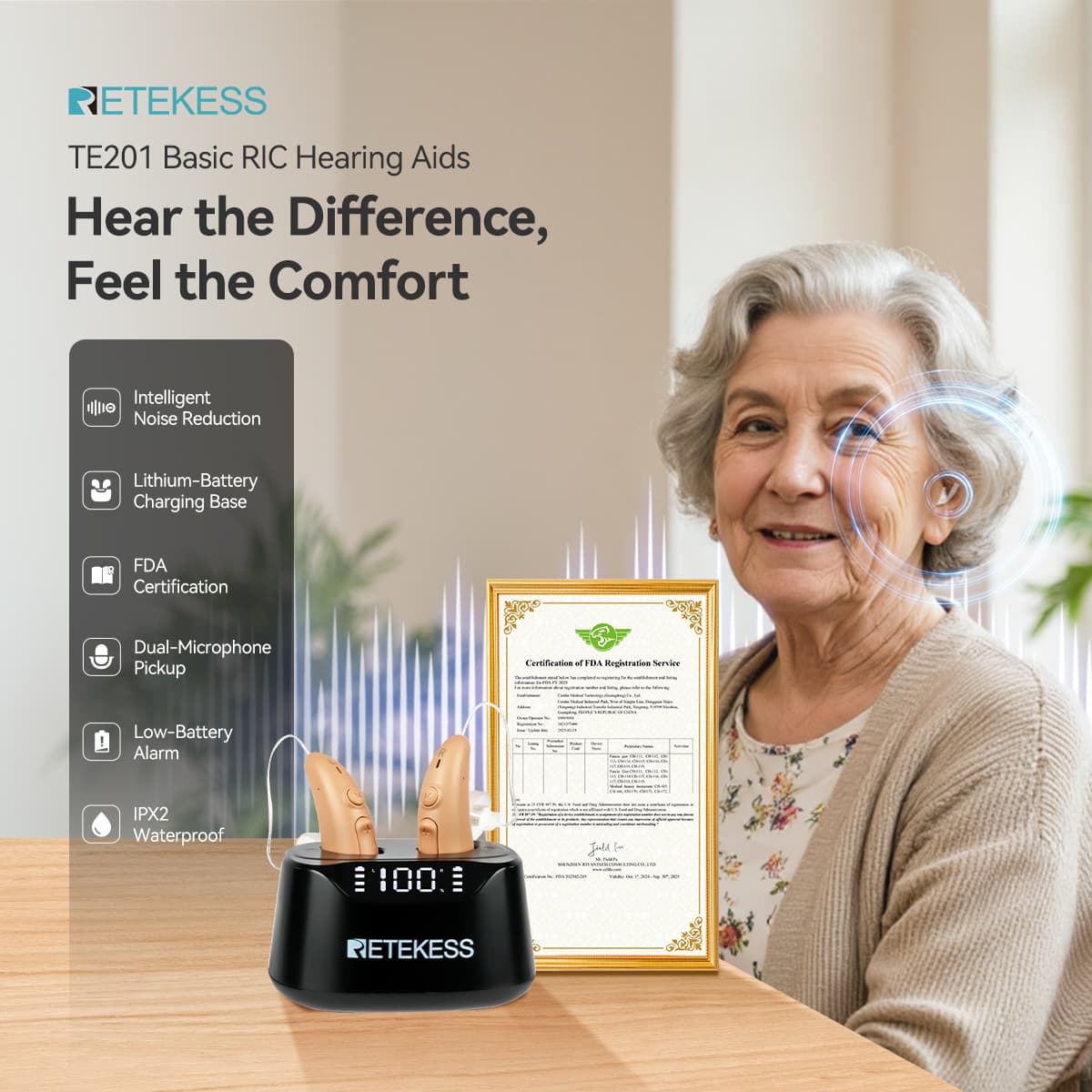 TE201 Noise Cancelling OTC Rechargeable RIC Hearing Aid for Moderate Hearing Loss