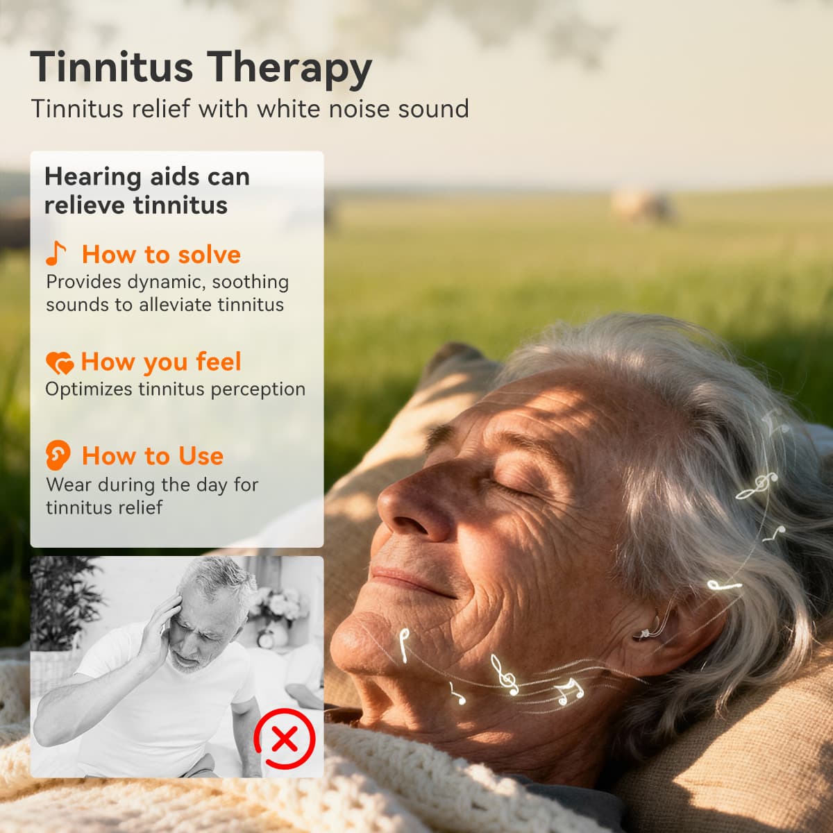 TE202 BTE Noise-canceling Hearing Aid features Tinnitus Masking for Mild to Moderate Hearing Loss