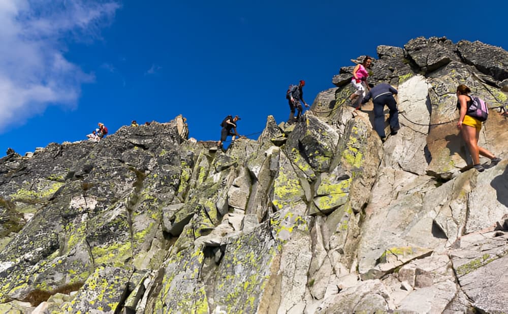 Climbing to New Heights: The Role of Tour Guide Systems in Mountaineering