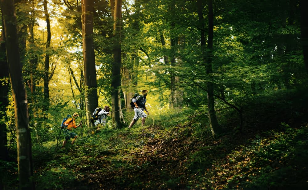 New partners for forest exploration - Audio Tour Guide System