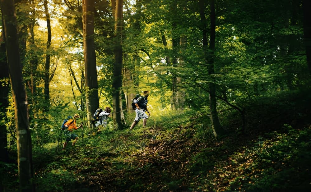 New partners for forest exploration - Audio Tour Guide System