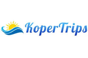 Travel Agency Logo 15