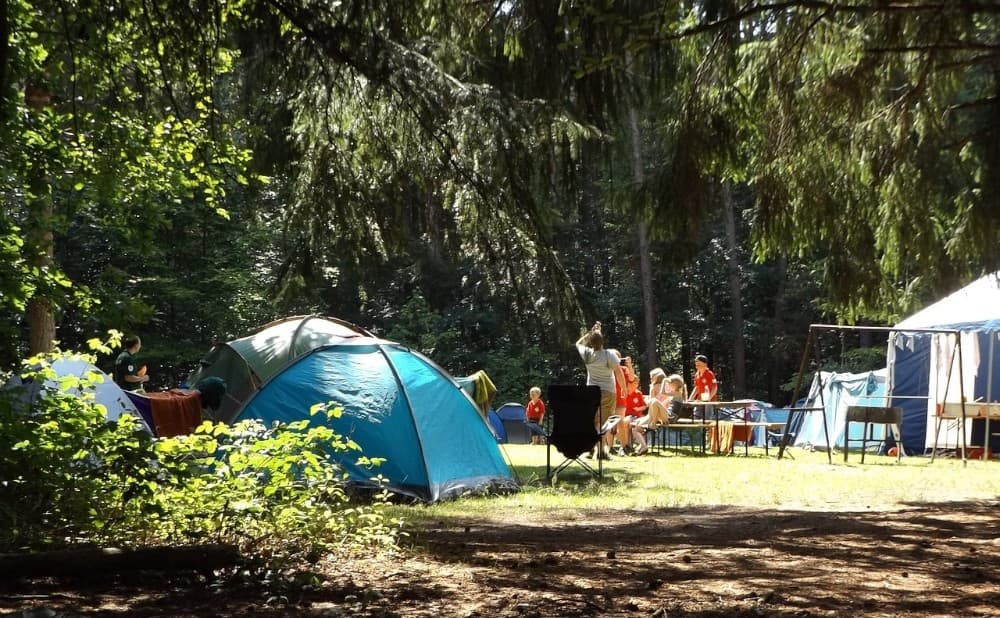 Clearer Guides, More Immediate Responses—Our Camp Communication Has Been Upgraded!
