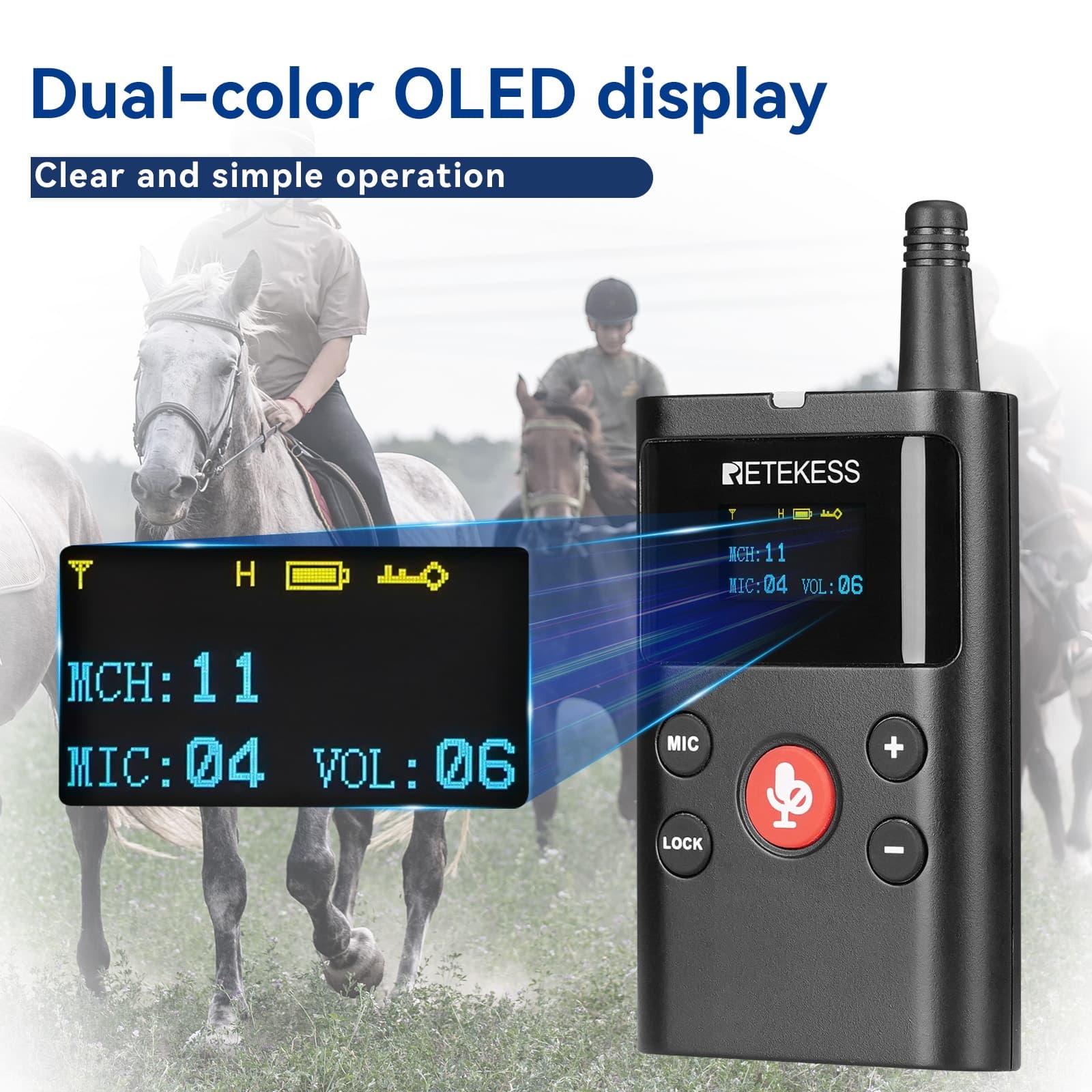 OLED display screen