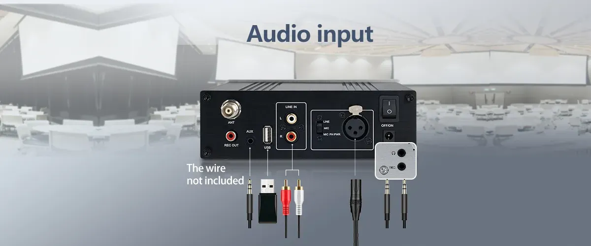 TT119 supports XLR AUX RCA and USB audio input