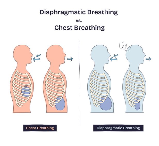 diaphragmatic-breathing-vs-chest-breathing