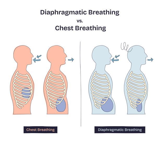 diaphragmatic-breathing-vs-chest-breathing