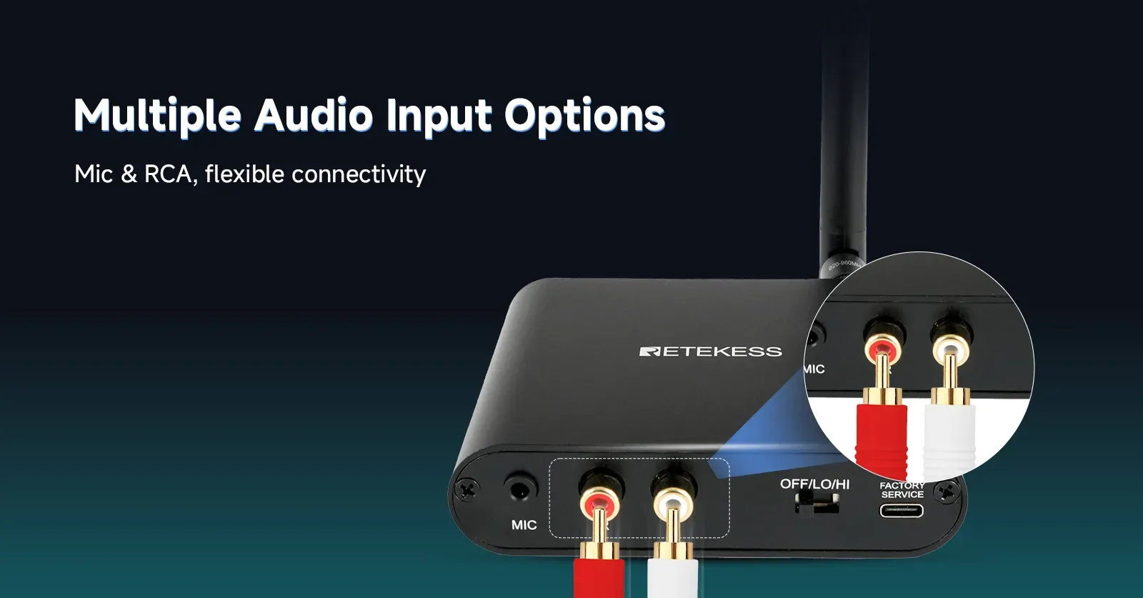 Multiple Audio Input Options