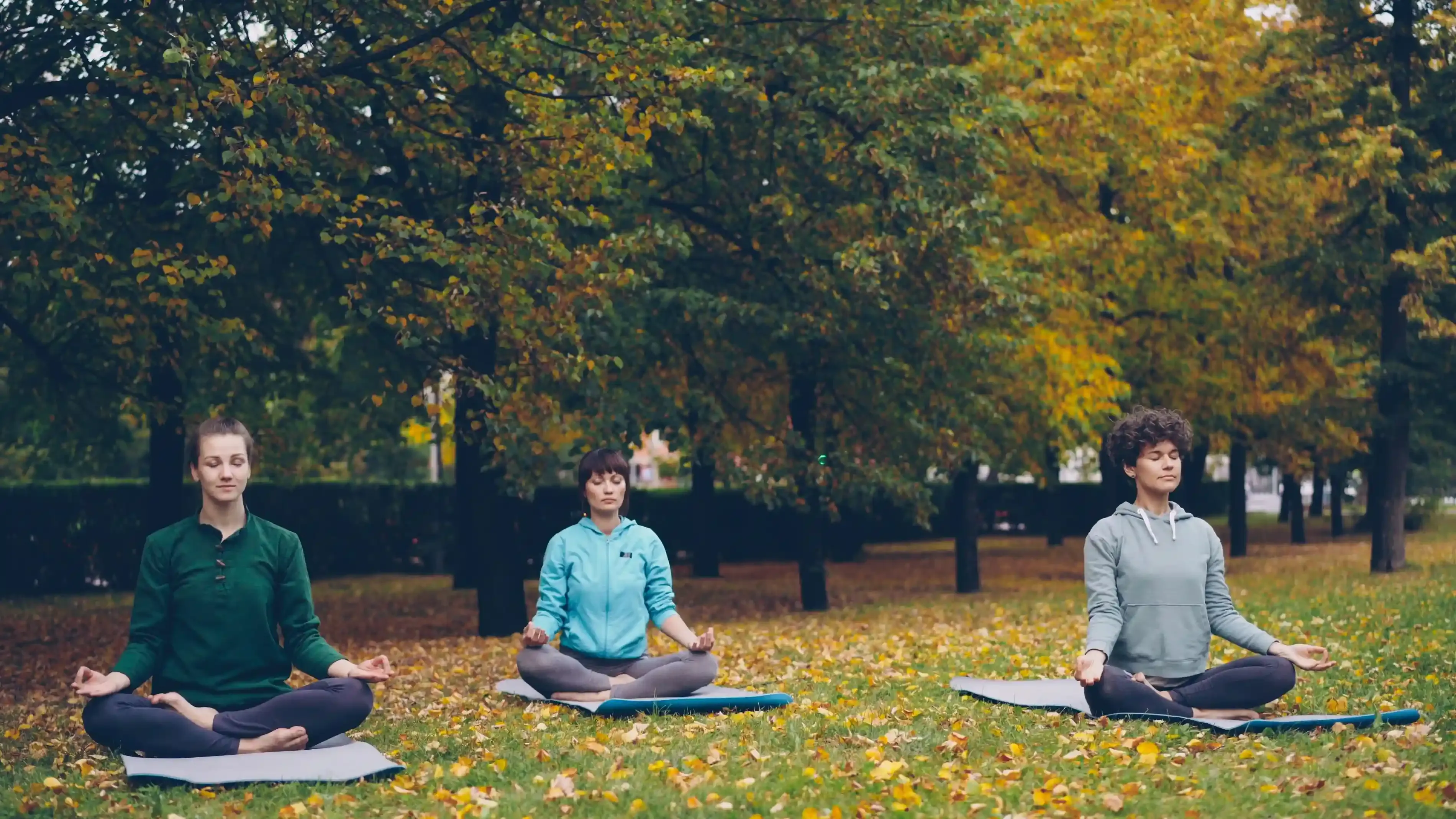 The Silent Sanctuary: Hosting Large-Scale Healing Events in Protected Nature Without Noise Pollution