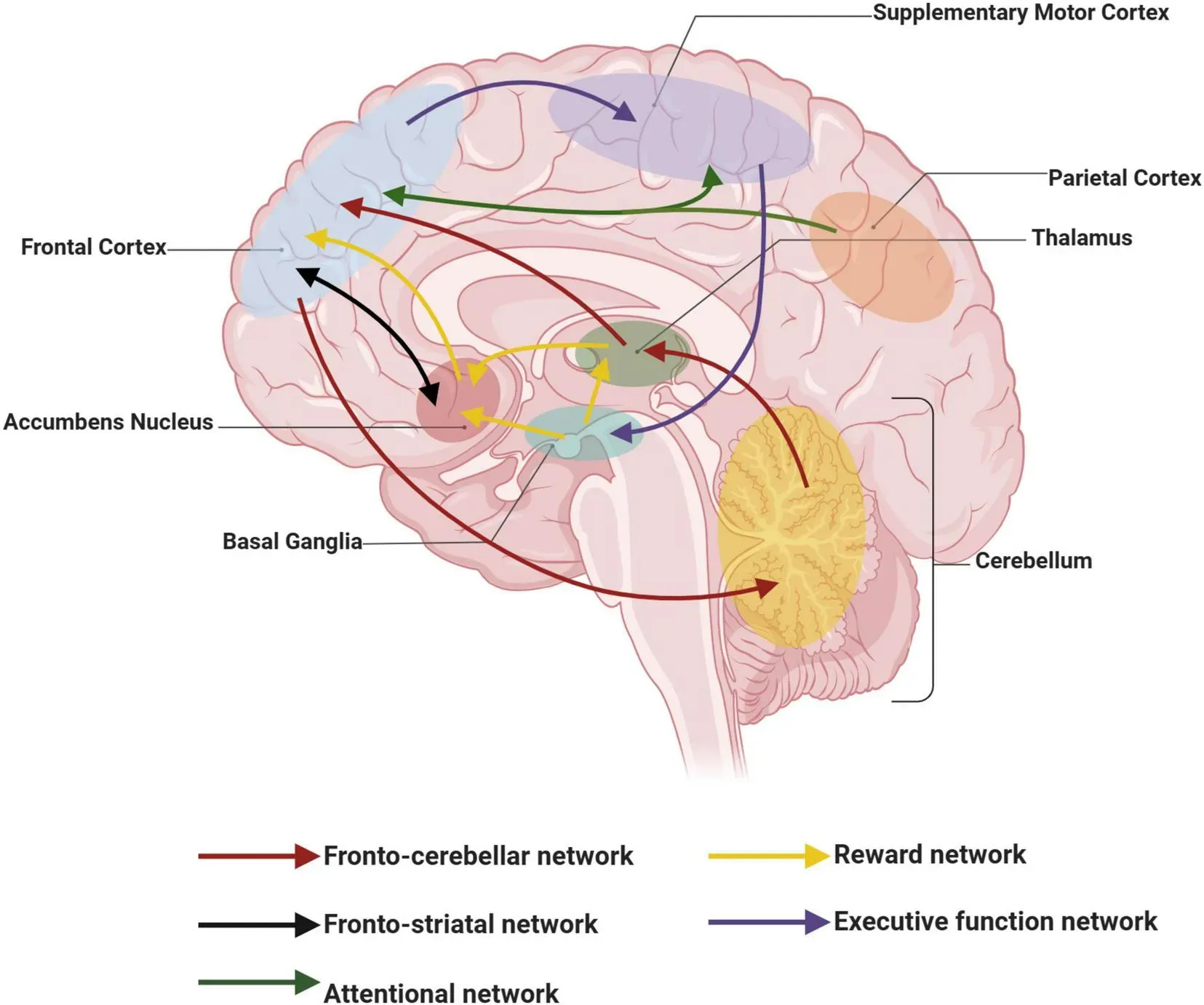 the-neuro-science-of-silence-audio-silent-disco-headphones