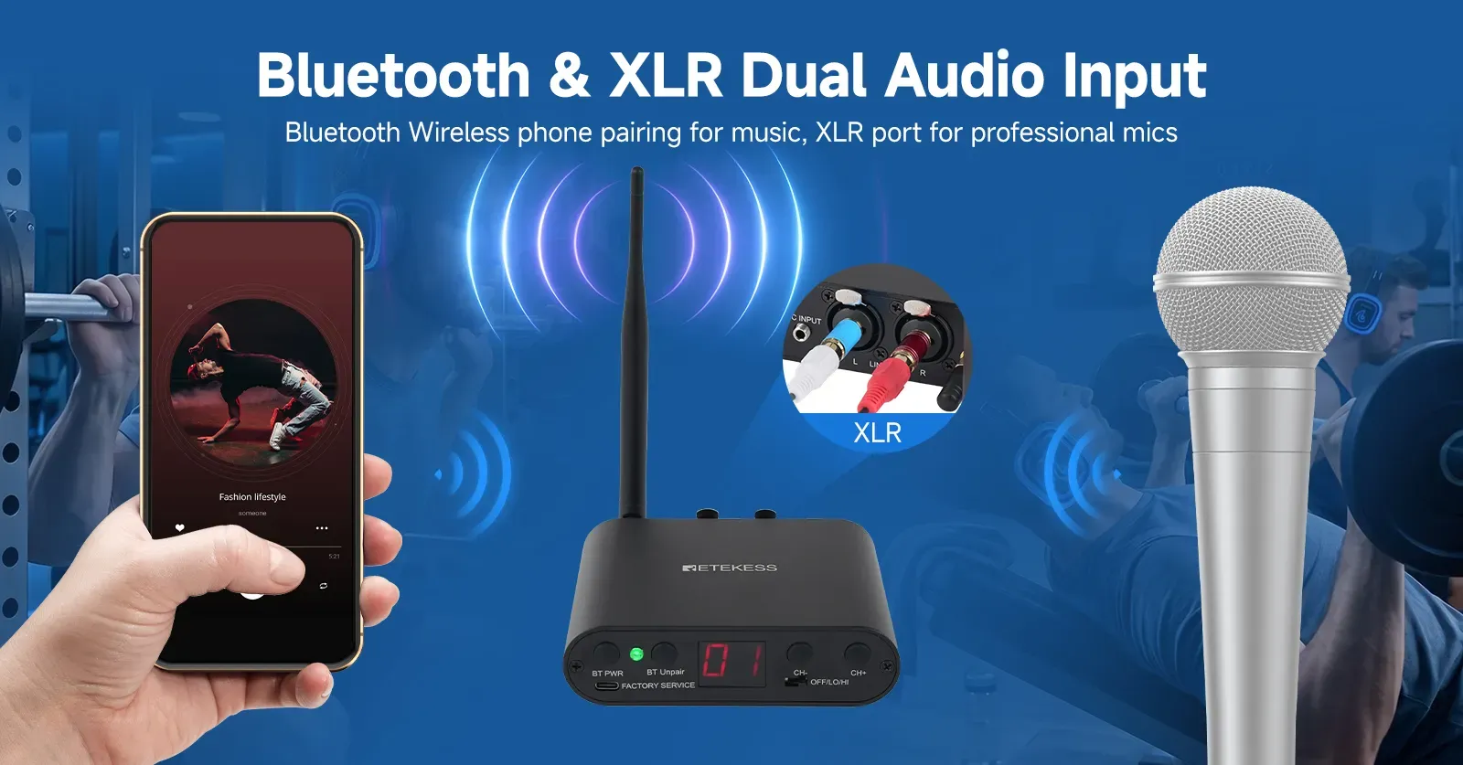 Dual audio input with XLR