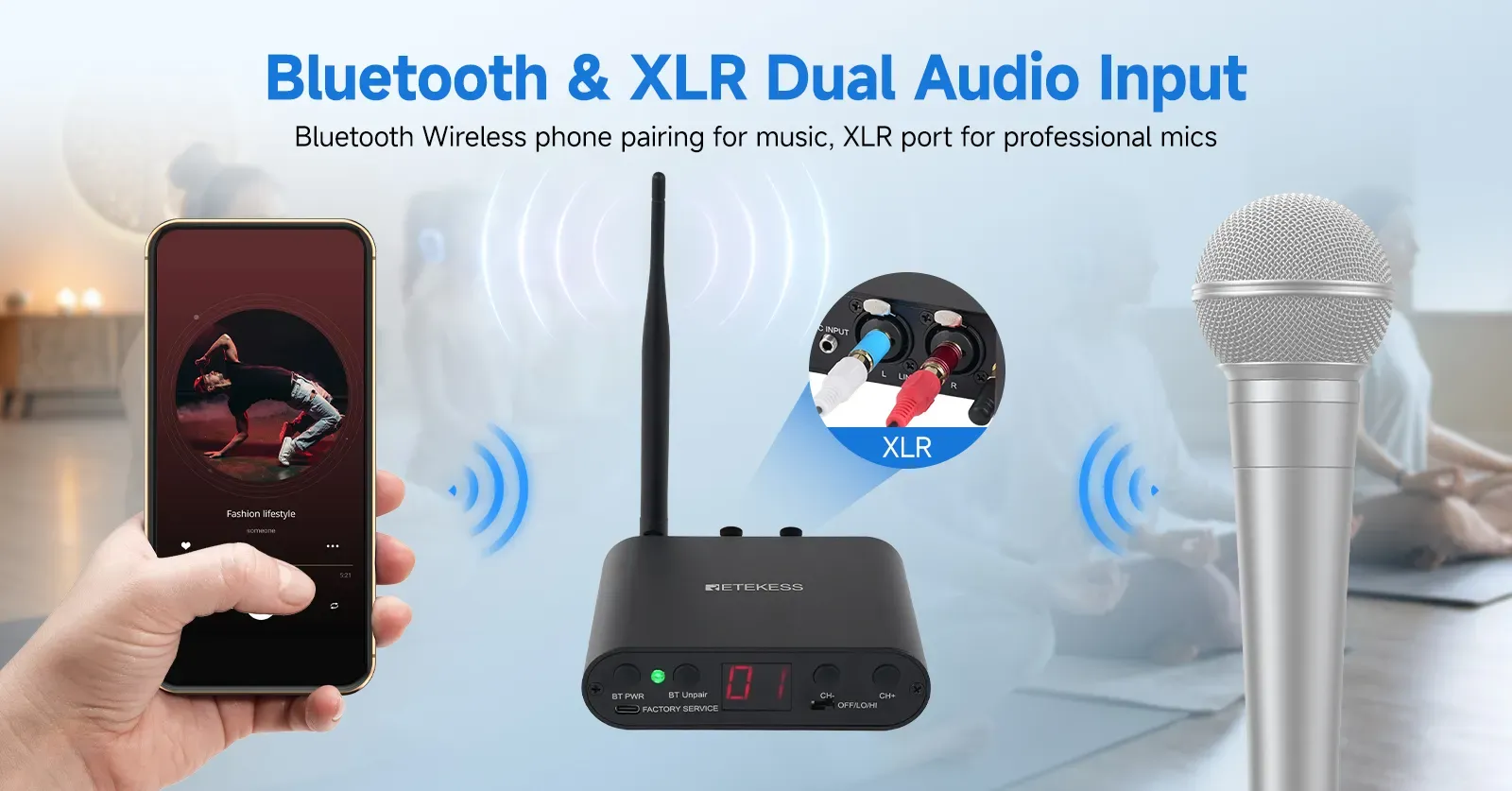 Dual audio input
