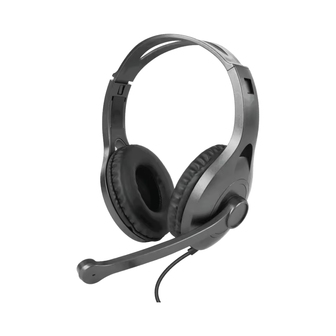 Earhook Earpiece