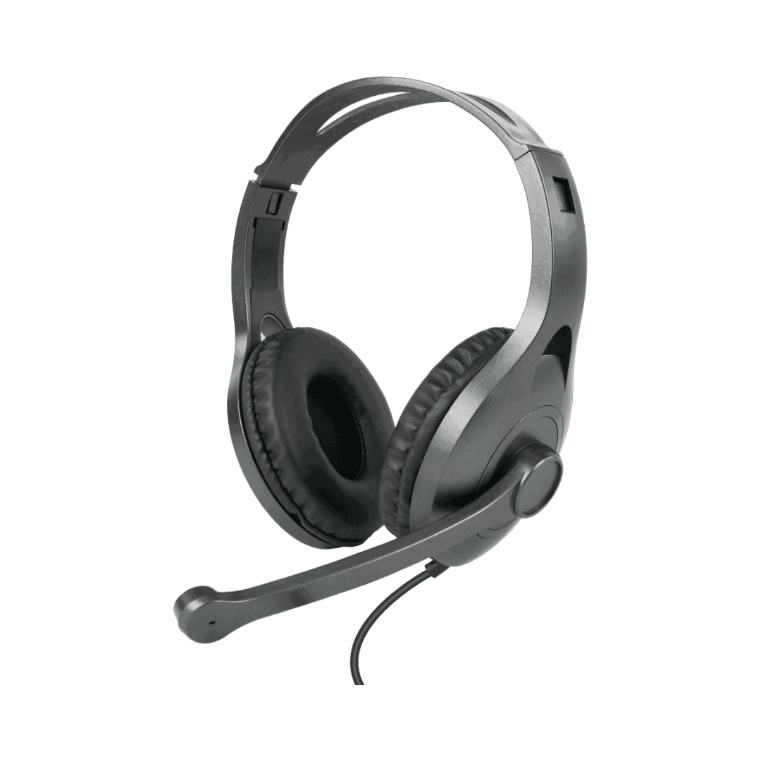 Earhook Earpiece